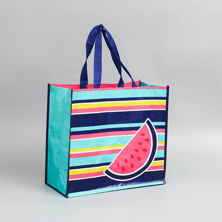 Custom Printed Plastic PP Woven Bag Raw Material with PP Webbing Handles