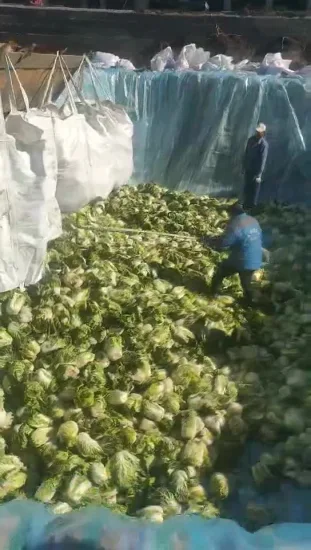 Sacs géants tissés en PP de 1 mt, grands sacs de 1 tonne, sac FIBC en tissu de 1000 kg, conteneur en vrac de 1,5 tonne, 1500 kg pour le prix d'emballage